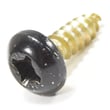 Dishwasher Screw