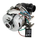 Dishwasher Pump and Motor Assembly