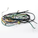Dishwasher Wire Harness 154688401