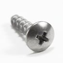 Dishwasher Screw