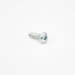 Screw AP055029