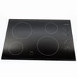 Cooktop Main Top