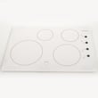 Cooktop Main Top for Frigidaire FFEC3025LB1 - Part 305379344