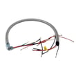Cooktop Conduit And Wire Assembly 305500706