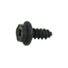 Range Screw 316021105
