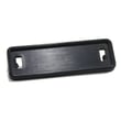 Bezel Nameplate 316096900