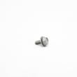 Range Screw 316240600
