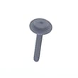 Kelvinator Range Screw 316278700