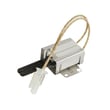 Range Broil Igniter for Kenmore 79078540601 - Part 316489401