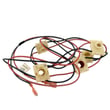 Range Igniter Switch And Harness Assembly for Electrolux CEW30DF6GSH - Part 316518201