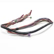 Range Wire Harness for Electrolux CEW30EF6GSH - Part 316525610