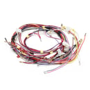 Range Spark Module Wire Harness
