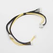 Harness for Electrolux E36EC75HSS2 - Part 318083058