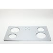 Cooktop Main Top (stainless) 318159034