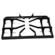 Range Burner Grate for Frigidaire PLCF489ACB - Part 318221700
