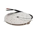 Range Induction Surface Element, 260-mm 318329244