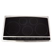 Cooktop Main Top Assembly 318384336
