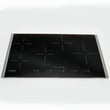 Cooktop Main Top Assembly 318935221