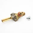 Range Surface Burner Valve and Screw