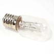 Microwave Light Bulb