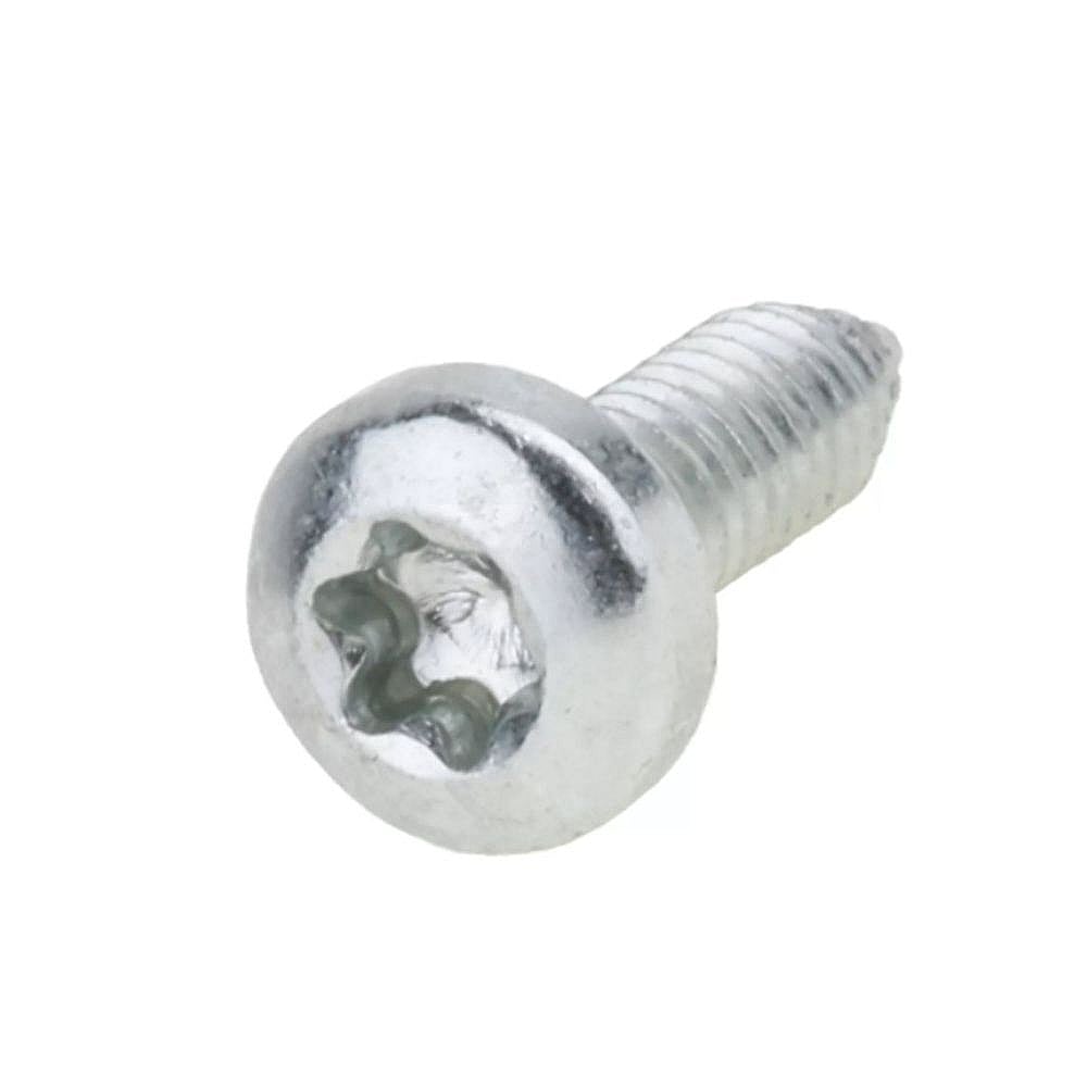 Part #00420262, Screw / 0.50 x 0.38 x 0.25