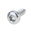 Screw 00420262