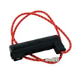 Microwave Fuse 00631509