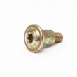 Screw 603981