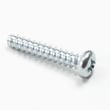Dryer Screw