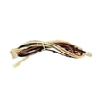 Wire Harness 5171P937-60