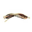 Wire Harness for Maytag MEW6627DDS18 - Part 5171P937-60