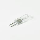 Microwave Light Bulb