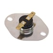 Thermostat 9751984