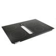 Whirlpool Cooktop Main Top W10163202