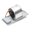Range Hood Blower Assembly (replaces W10294006) WPW10294006