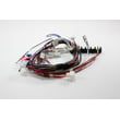 Wire Harness for Maytag MER8880AS0 - Part W10349674