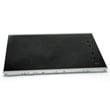 Cooktop Main Top W10365155