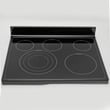 Range Main Top Assembly for Maytag YMER8775BS0 - Part W10441396