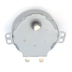 Microwave Turntable Motor