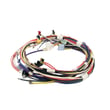 Main Harness W10580296