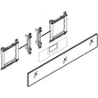 Active Overlay