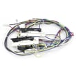 Conversion Harness W10371813