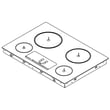 Cooktop Main Top W10328372