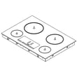Cooktop Main Top W10328516
