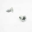 Dryer Screw 694091