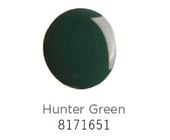 Appliance Touch-up Paint, 0.6-oz (hunter Green) 8171651