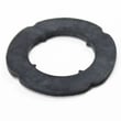 Gasket-fla 4161670