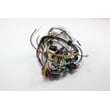 Dishwasher Wire Harness for KitchenAid KUDR02FSWH4 - Part W10083745