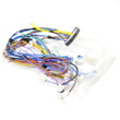 Dishwasher Wire Harness for KitchenAid KUDE60FXSS3 - Part W10416588