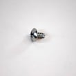 Washer Screw 1TTL0403032